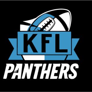 Hancock Co Panthers- Flag
