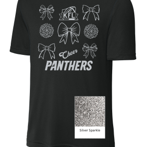 Hancock Co Panthers- Cheer