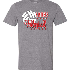 DCMS Volleyball- Softstyle Gray